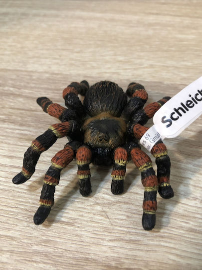 Schleich-S Tarantula για 3+ Ετών 2εκ. 14829 - Image 4