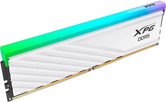 Adata DDR5 με Module 1x16GB και Ταχύτητα 6400 για Desktop AX5U6400C3216G-SLABRWH - Image 2