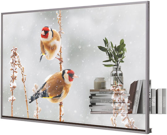 LG 55EW5P-M Public Display OLED 55" - Image 2