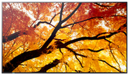 Sharp Public Display 32" - Image 3