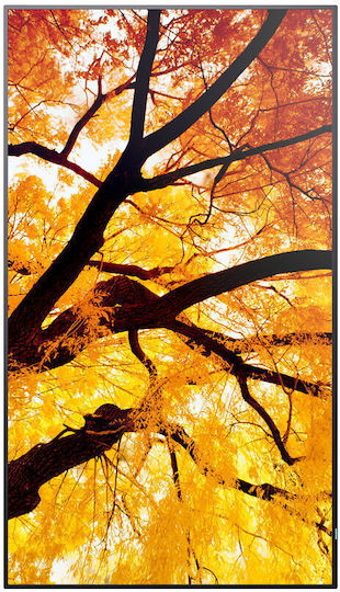 Sharp Public Display 32" - Image 8