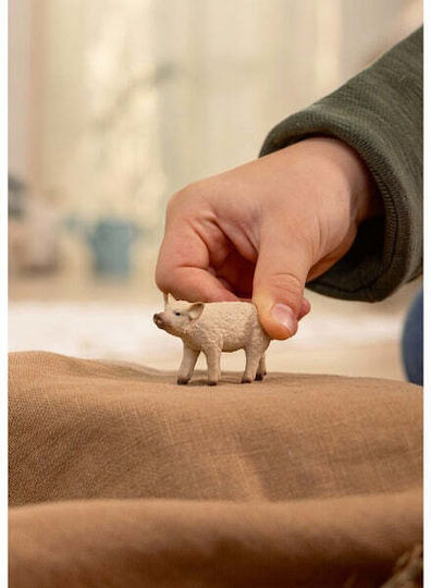 Schleich-S Farm World 2εκ. 14893 - Image 3