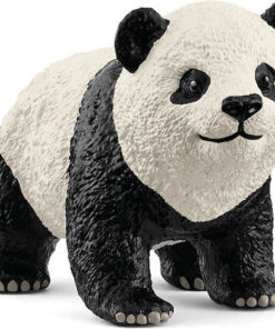 Slh Young Giant Panda Wildlife 14886 63316