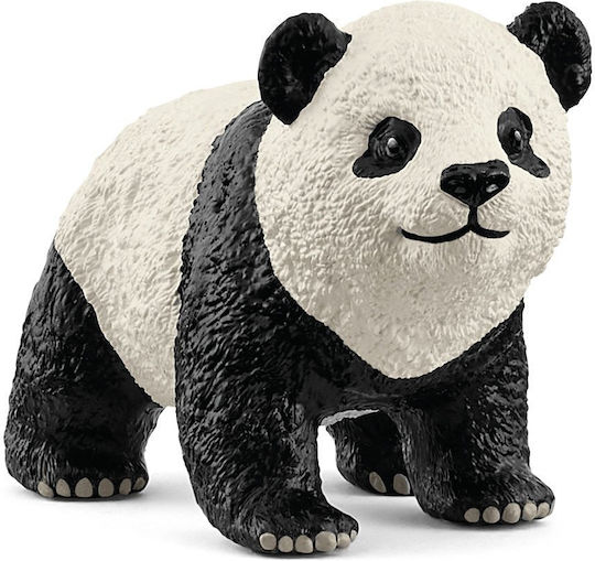 Slh Young Giant Panda Wildlife 14886 63316