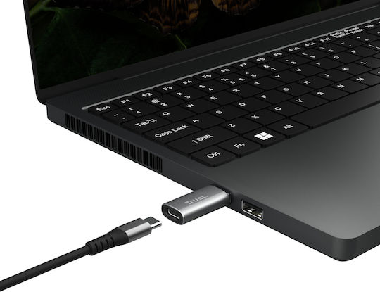 Trust Μετατροπέας USB-A male σε USB-C female Γκρι 2τμχ 25573 - Image 3