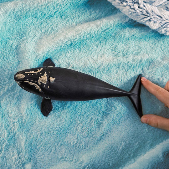 Schleich-S North Atlantic Right Whale για 3+ Ετών 19εκ. 14878 - Image 2