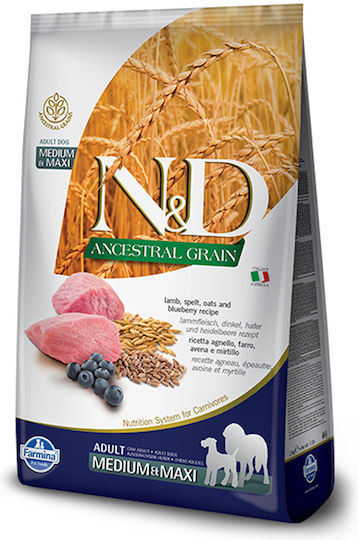 Farmina Lamb & Blueberry Adult Medium & Maxi 12kg Ξηρά Τροφή με Λίγα Σιτηρά για Ενήλικους Σκύλους Μεσαίων & Μεγαλόσωμων Φυλών με Αρνί