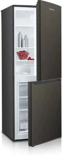 MPM Ψυγειοκαταψύκτης 207lt Υ150xΠ55xΒ58εκ. MPM-215-KB-39/E - Image 6