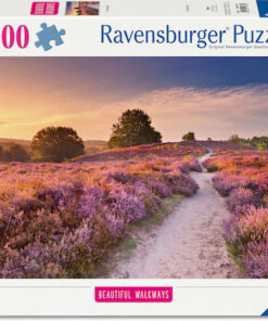 Pink Pathway Puzzle 2D 1000pcs
