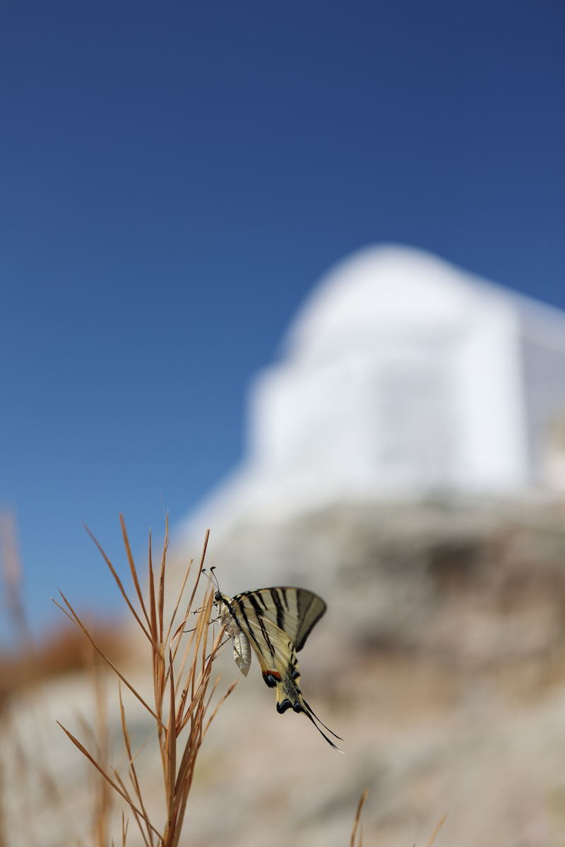 Canon Full Frame Φωτογραφικός Φακός RF 35mm F1.8 IS STM Wide Angle / Macro για Canon RF Mount Μαύρος - Image 8