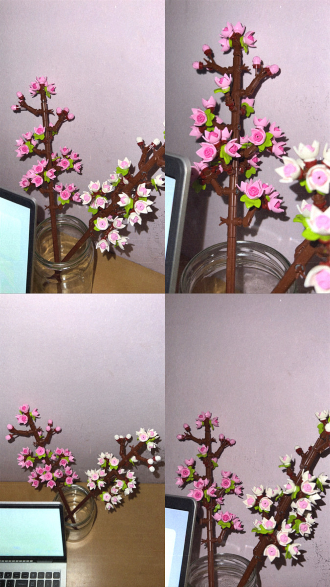 LEGO Botanical Collection Cherry Blossoms για 8+ Ετών 430τμχ 40725 - Image 8