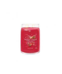 Alternative view of Yankee Candle Αρωματικό Κερί σε Βάζο με Άρωμα Κανέλα 567gr 1629975