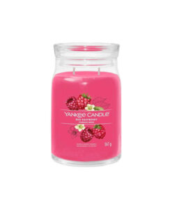 Yankee Candle Αρωματικό Κερί σε Βάζο με Άρωμα Red Raspberry Κόκκινο 567gr 1701375