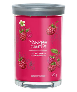 Yankee Candle Αρωματικό Κερί με Άρωμα Red Raspberry Κόκκινο 567gr 1724404