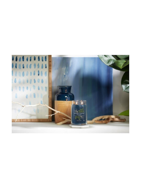 Yankee Candle Αρωματικό Κερί σε Βάζο με Άρωμα Bayside Cedar 567gr - Image 5