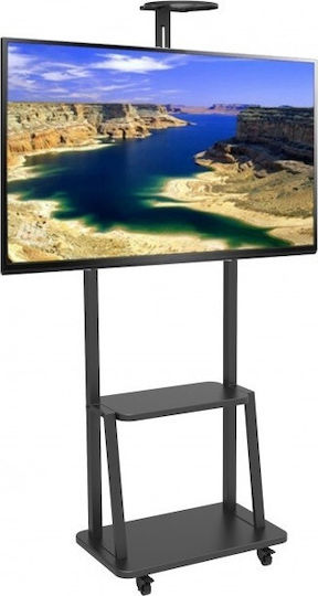 Techly ICA-TR33 Βάση Τηλεόρασης Δαπέδου έως 70" και 50kg - Image 3