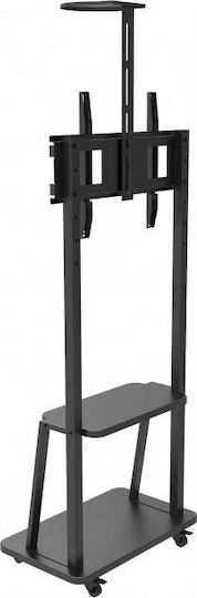 Techly ICA-TR33 Βάση Τηλεόρασης Δαπέδου έως 70" και 50kg - Image 2