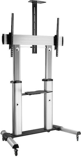 Techly ICA-TR24 Δαπέδου έως 100" και 100kg - Image 2