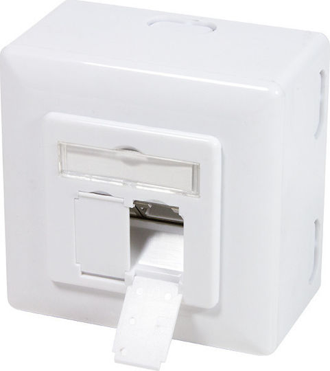 LogiLink Διπλή Εξωτερική Πρίζα Δικτύου RJ45 Τύπου Cat6 σε Λευκό Χρώμα NP0039A - Image 2