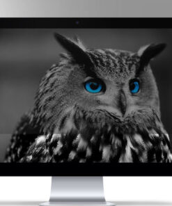 Natec Owl Φίλτρο Οθόνης NFP-1616