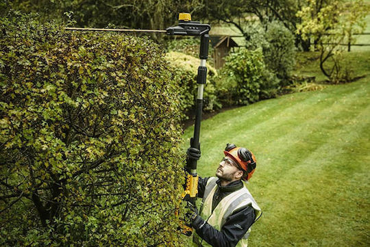 Dewalt 18V XR Μπορντουροψάλιδο Μπαταρίας 18V Τηλεσκοπικό με Μήκος Λάμας 55cm - Image 5