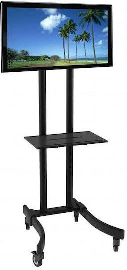 Techly ICA-TR23 Βάση Τηλεόρασης Δαπέδου έως 70" και 40kg - Image 2