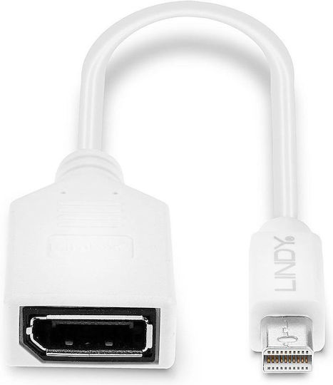 Lindy Μετατροπέας mini DisplayPort male σε DisplayPort female Λευκό 1τμχ 41021 - Image 2