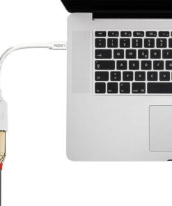 Lindy Μετατροπέας mini DisplayPort male σε DisplayPort female Λευκό 1τμχ 41021