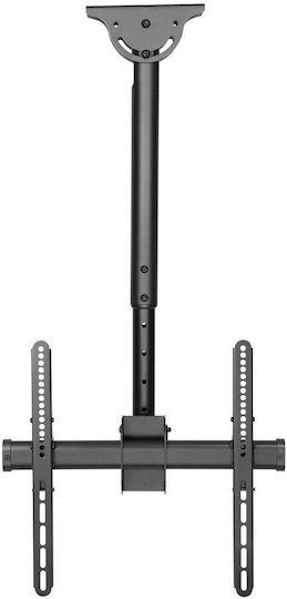 Techly ICA-CPLB-944S Βάση Τηλεόρασης Οροφής έως 55" και 50kg - Image 4
