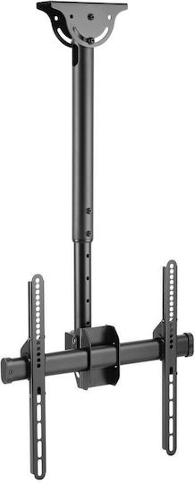 Techly ICA-CPLB-944S Βάση Τηλεόρασης Οροφής έως 55" και 50kg - Image 3