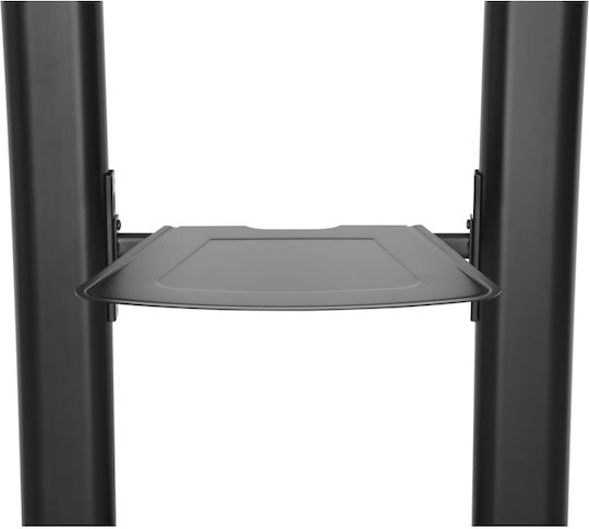 Techly ICA-TR36 Βάση Τηλεόρασης Δαπέδου έως 60" και 100kg Μαύρο - Image 3