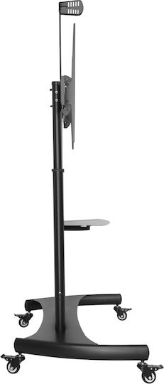 Techly ICA-TR36 Βάση Τηλεόρασης Δαπέδου έως 60" και 100kg Μαύρο - Image 5