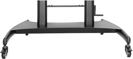 Techly ICA-TR36 Βάση Τηλεόρασης Δαπέδου έως 60" και 100kg Μαύρο - Image 11