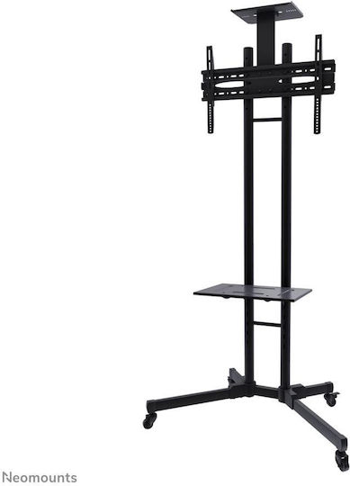 Newstar PLASMA-M1700ES Δαπέδου έως 55" και 35kg - Image 3