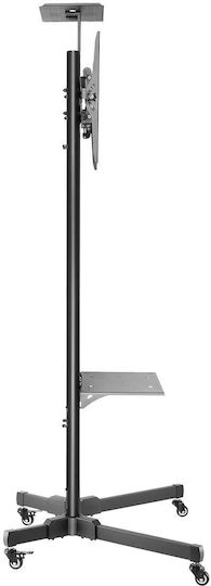 Newstar PLASMA-M1700ES Δαπέδου έως 55" και 35kg - Image 4