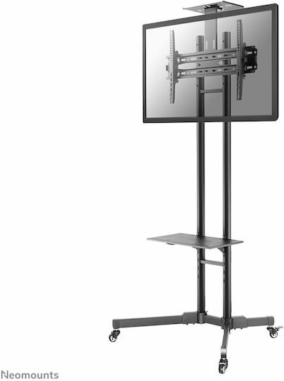 Newstar PLASMA-M1700ES Δαπέδου έως 55" και 35kg - Image 6