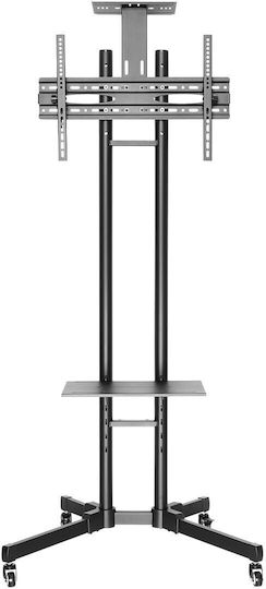 Newstar PLASMA-M1700ES Δαπέδου έως 55" και 35kg - Image 5