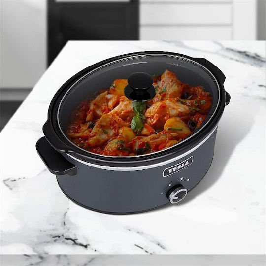 Tesla Electronics S500 Ηλεκτρική Γάστρα 270W με Χωρητικότητα 6.5lt Γκρι - Image 4