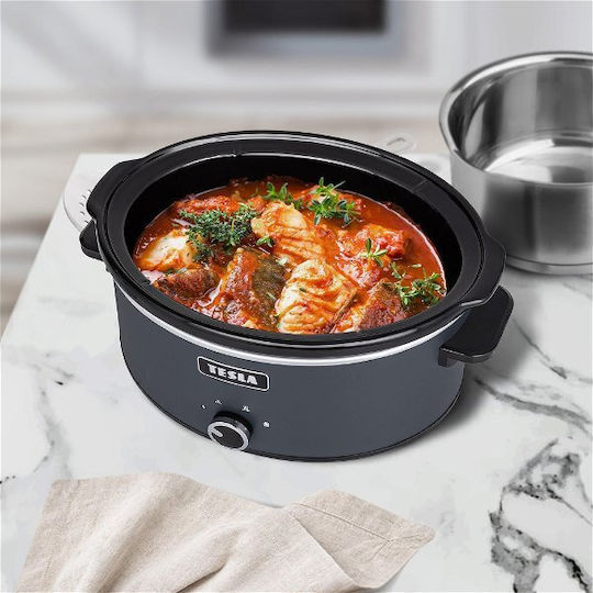 Tesla Electronics S500 Ηλεκτρική Γάστρα 270W με Χωρητικότητα 6.5lt Γκρι - Image 5