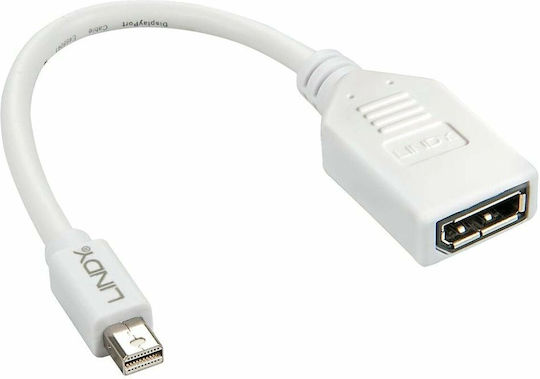 Lindy Μετατροπέας mini DisplayPort male σε DisplayPort female Λευκό 1τμχ 41021 - Image 3