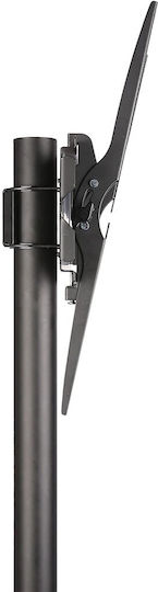 Techly ICA-TR21 Βάση Τηλεόρασης Δαπέδου έως 55" και 25kg - Image 3