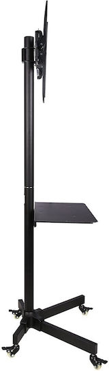Techly ICA-TR21 Βάση Τηλεόρασης Δαπέδου έως 55" και 25kg - Image 9