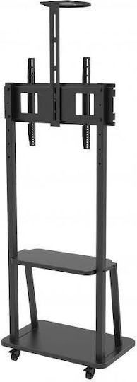 Techly ICA-TR33 Βάση Τηλεόρασης Δαπέδου έως 70" και 50kg - Image 4