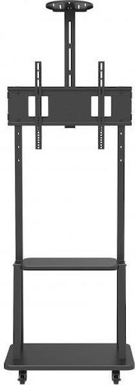Techly ICA-TR33 Βάση Τηλεόρασης Δαπέδου έως 70" και 50kg - Image 5