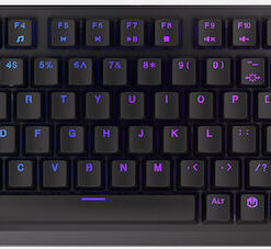 Endorfy Thock Ασύρματο Gaming Μηχανικό Πληκτρολόγιο 75% με Kailh Box Red διακόπτες και RGB φωτισμό (Αγγλικό US)