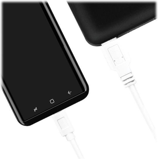 LogiLink USB 3.2 Cable USB-C male - USB-A Λευκό 3m (CU0177) - Image 2