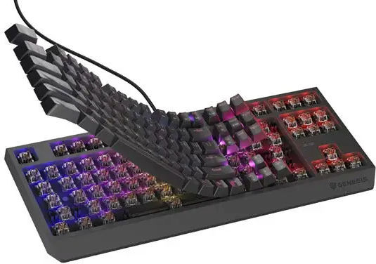 Genesis Thor 230 TKL Gaming Μηχανικό Πληκτρολόγιο Tenkeyless με Outemu Brown διακόπτες και RGB φωτισμό (Αγγλικό US) - Image 12