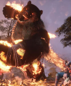 Alternative view of Black Myth: Wukong PS5 Game
