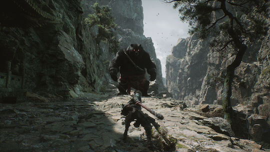 Black Myth: Wukong PS5 Game - Image 4