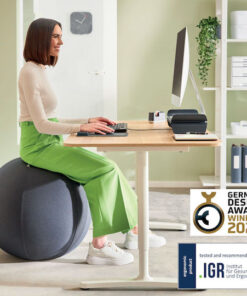 Alternative view of Leitz Ergo 75cm Dark Grey Exercise Sitting Ball 65430089